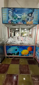 ماهی و میگوی جنوب 2
