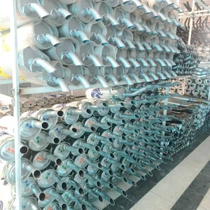 شیکا در