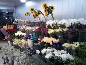 گلفروشی میلو