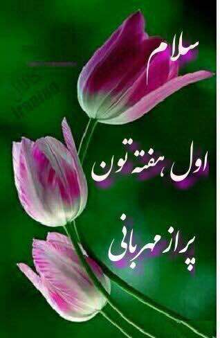 باغ پرندگان