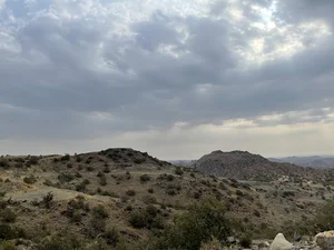 Overlooking Shifa