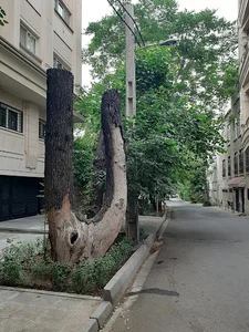 عمارت افرا