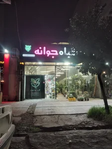 گل و گیاه جوانه 2