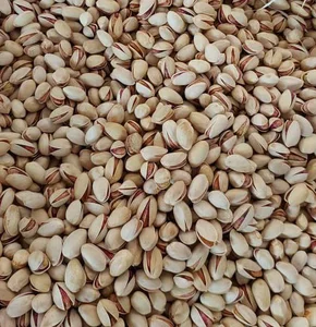 آجیل صداقت