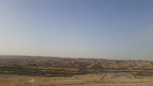 پارک شقایق