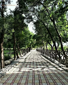 پارک بیرجندی