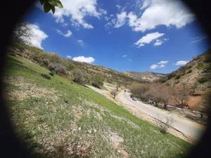 بوستان جنگلی کوهستان یاسوج 2
