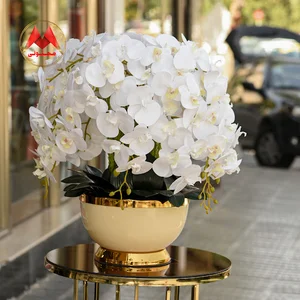 گلسرای مجنونی