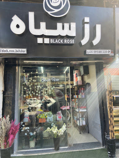 گل رز سیاه