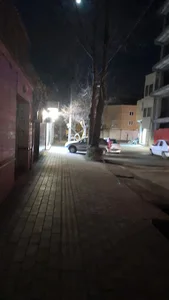 جانبازان