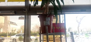 بازار روز کوثر شهرداری درچه