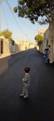 بن بست نیلوفر آبی