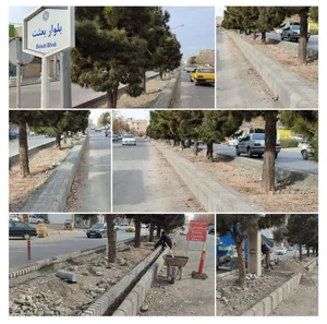 دندانپزشک محمدتقی زرین زاده