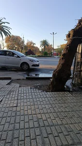 ابزار يراق عصاری