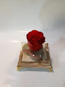 گل قاصدک خانه اصفهان
