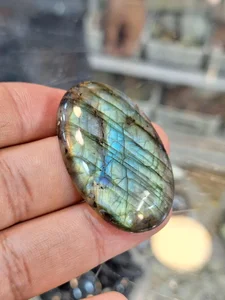 گالری زیبا 3