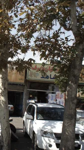 ظروف یک بار مصرف شاهد 2