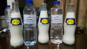 هتل پارک