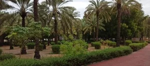پارک شهید دباغیان 3