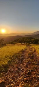 بوستان جنگلی یاسوج 4