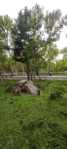پارک شهر 5