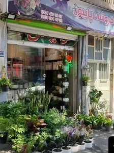 گل فروشی پاپیون 2