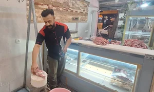 فروشگاه شعبانی 2