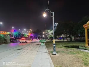 فضای سبز 4