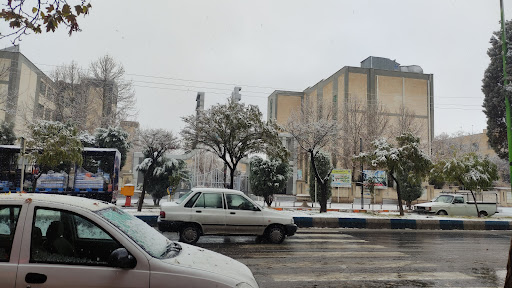 دانشگاه کار