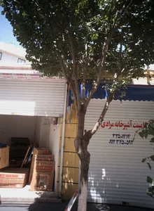 کابینت آشپزخانه مرادی 2