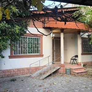 کاردرمانی و گفتار درمانی همپا