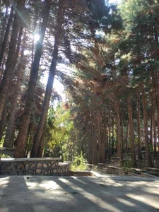 بوستان بلوار 2