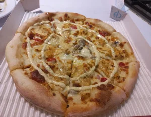 غذاي خانگی روکا