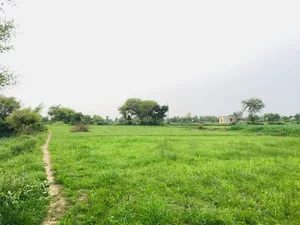 Kothay Gujjaran