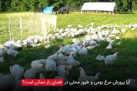 مرغداری قدیمی مهرشهر