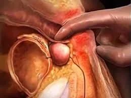 آزمایشگاه بسته بندی مواد غذایی