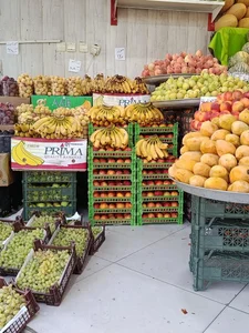 میوه فروشی متین 5