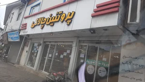 پروتئین چالاکی