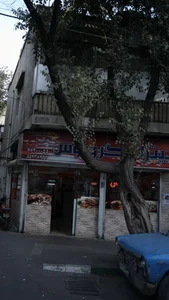 پیتزا ونوس 3