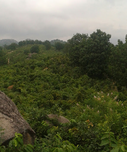 Janpur