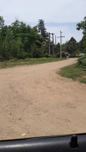 نهالستان شاندرمن