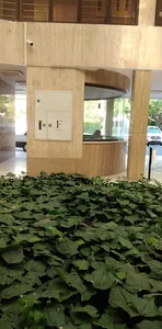 فرهنگسرای دانش و خلاقیت
