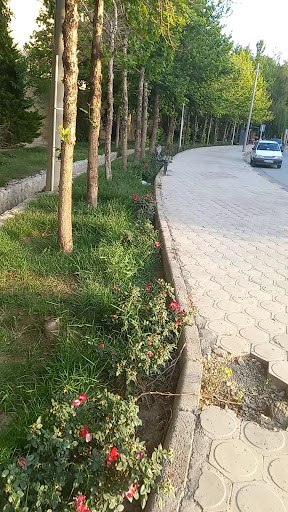 بوستان وحدت