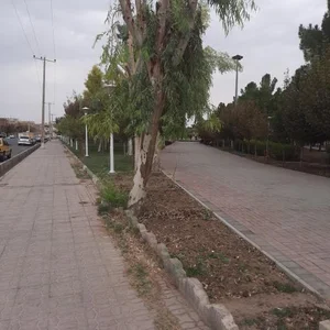 پارک لاله 2
