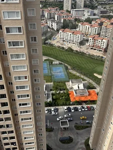 بوستان گلایول
