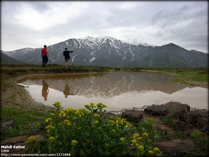 منطقه حفاظت شده لار