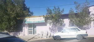سالمندان تارا