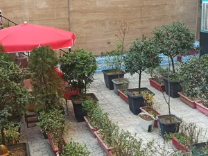 رستوران اصل جوان 4
