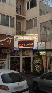 گل نیلوفر آبی 2