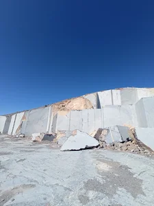 Apadana stone